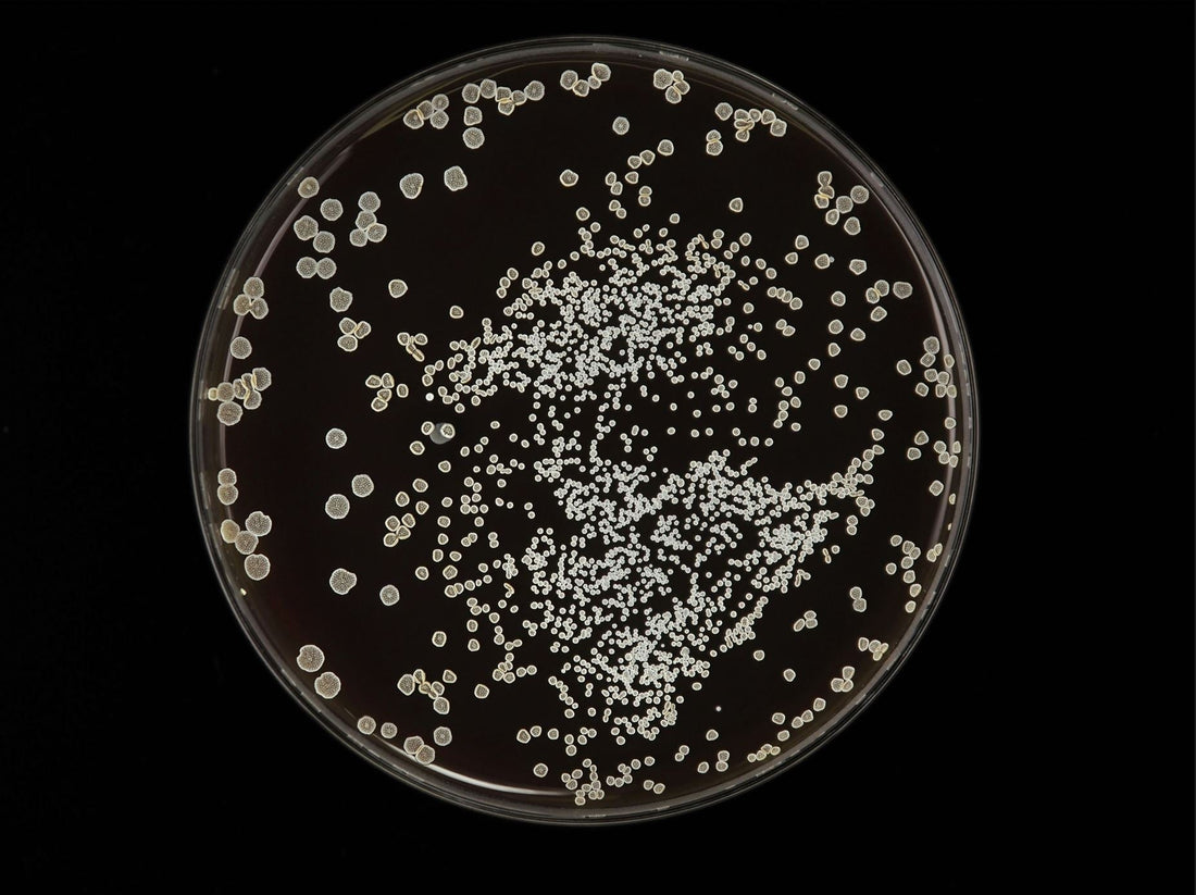 THE SCIENCE OF FRAGRANCE DISPERSION