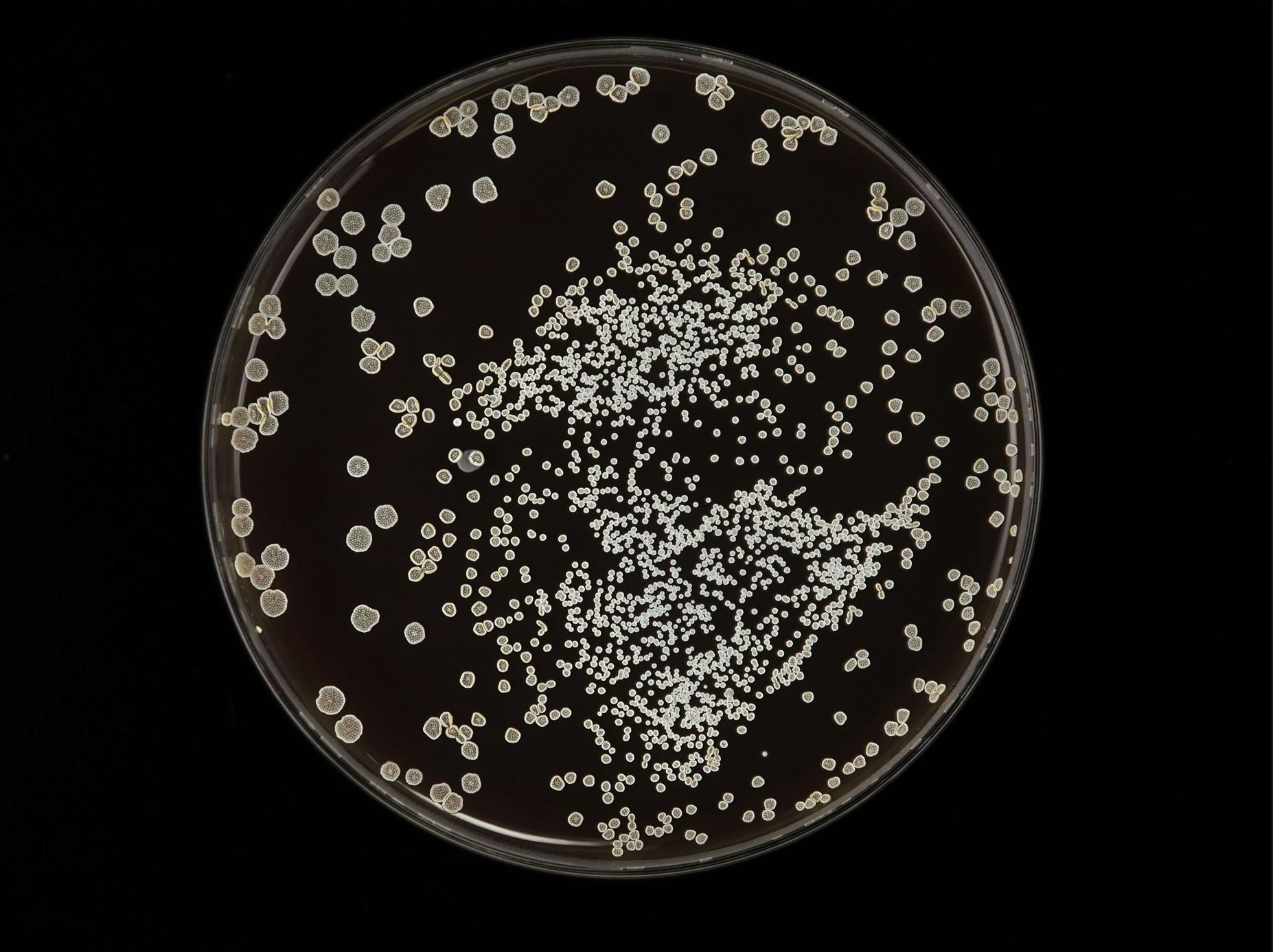 THE SCIENCE OF FRAGRANCE DISPERSION